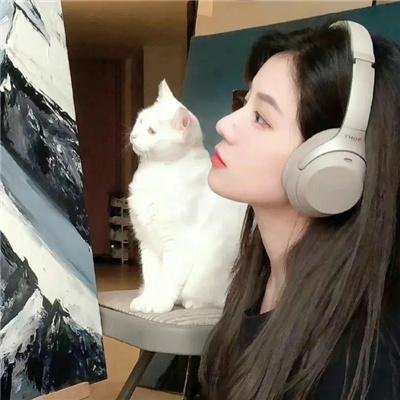 旋风贼