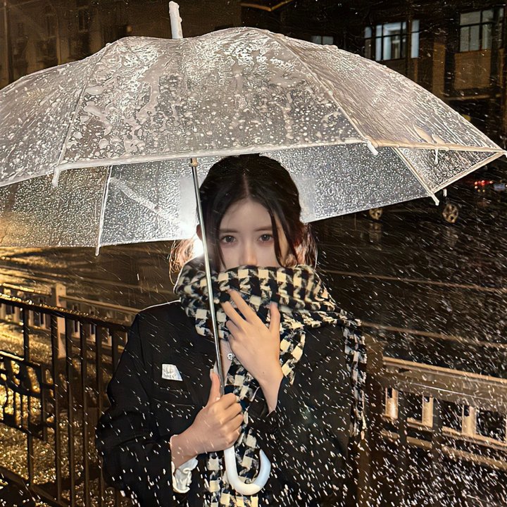荒江女侠